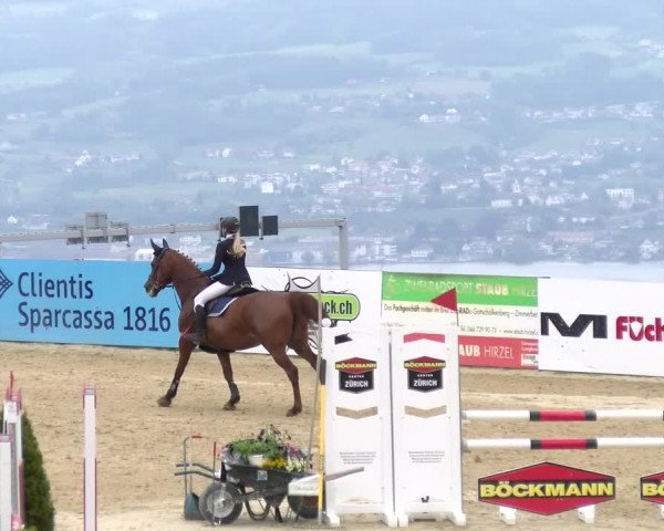Reitturnier Wädenswil 2023