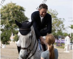 jumper Orang Utan Claus (Hessian Warmblood, 2014, from Caspar 232)