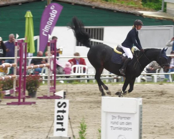 Reitturnier Billigheim 2023