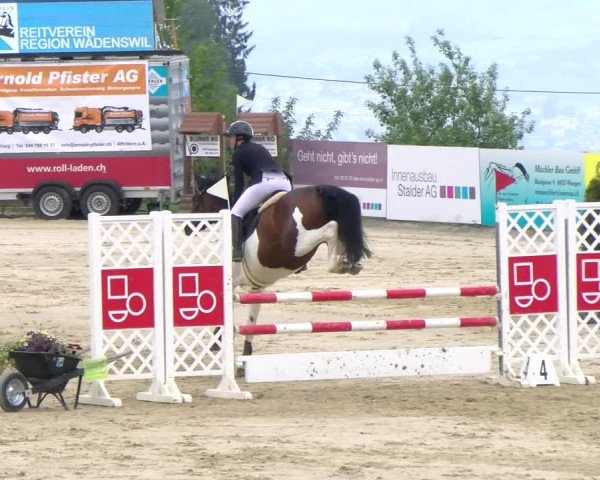 Reitturnier Wädenswil 2023