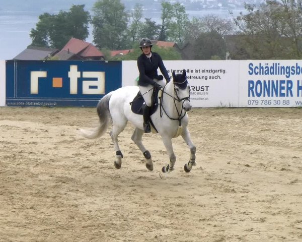 Reitturnier Wädenswil 2023