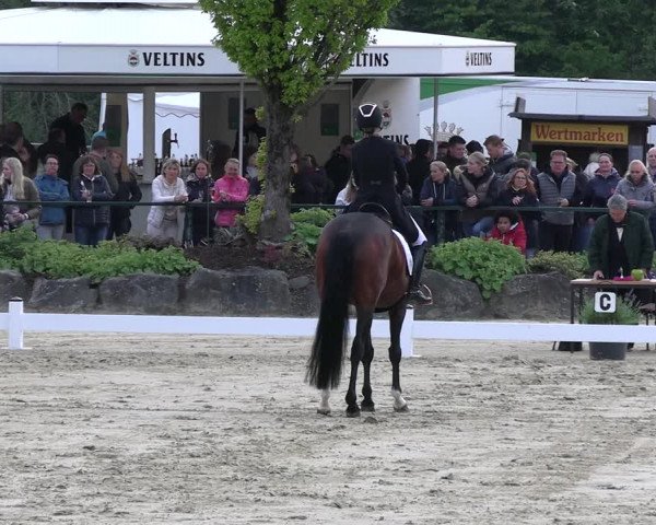 Reitturnier Hellefeld 2023