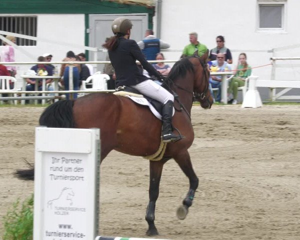 Reitturnier Billigheim 2023