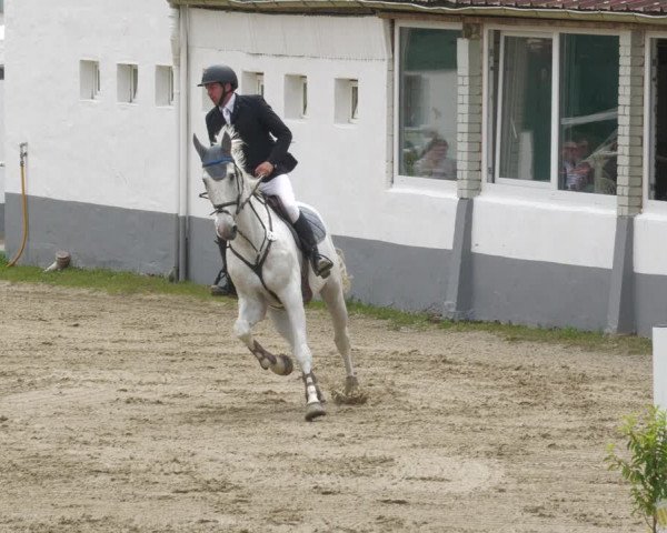 Reitturnier Billigheim 2023