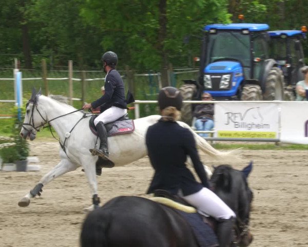 Reitturnier Billigheim 2023