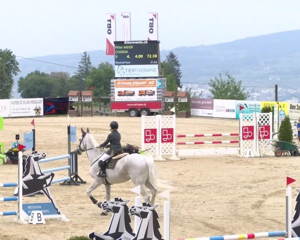 Reitturnier Wädenswil 2023
