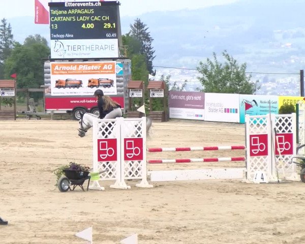 Reitturnier Wädenswil 2023