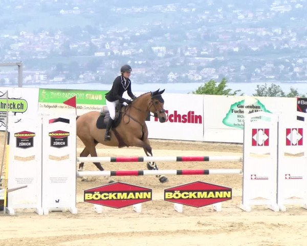 Reitturnier Wädenswil 2023