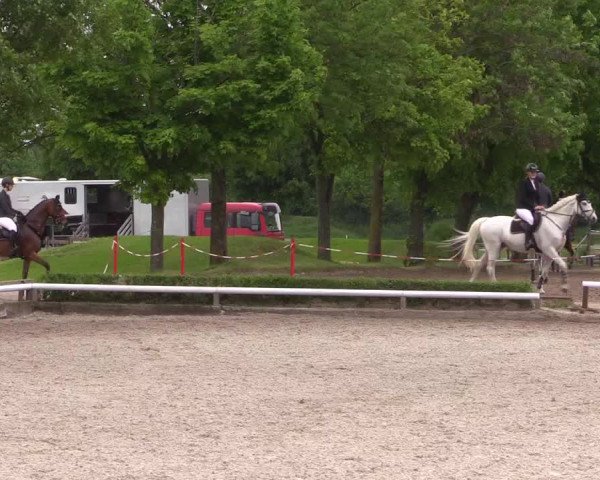 Reitturnier Hamm- Rhynern 2023