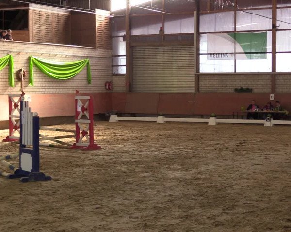 Reitturnier Hellefeld 2023