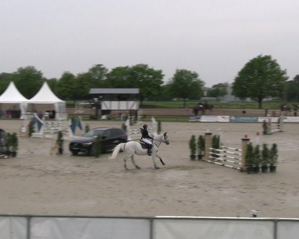 Reitturnier Hamm- Rhynern 2023