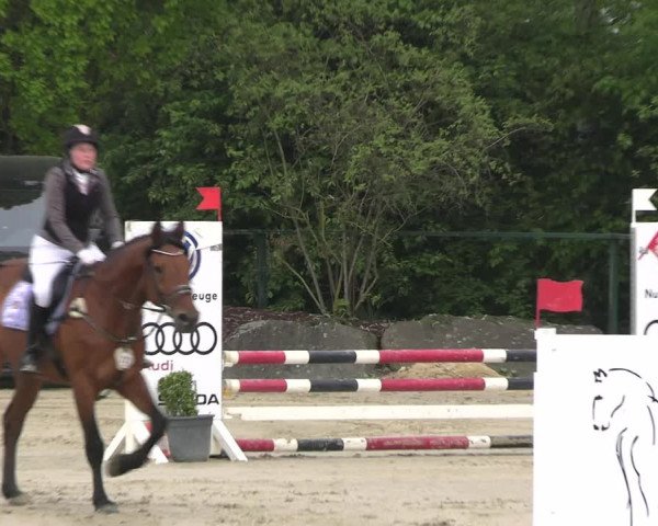 Reitturnier Hellefeld 2023