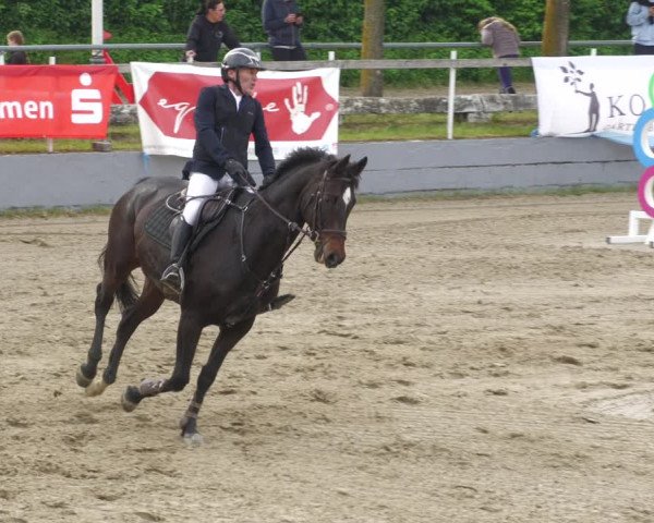 Reitturnier Billigheim 2023