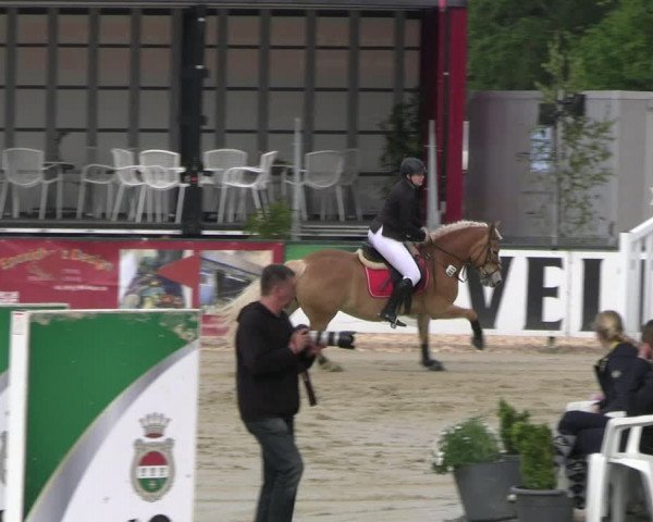Reitturnier Hellefeld 2023