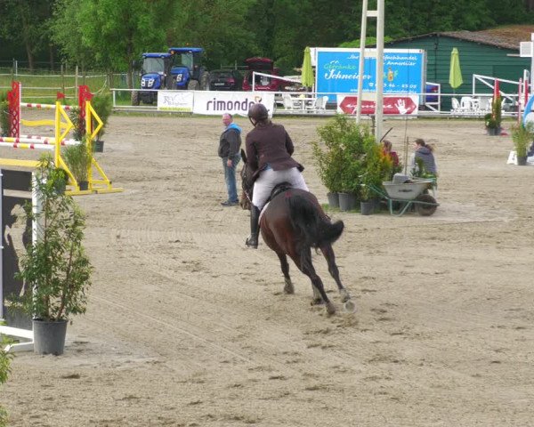 Reitturnier Billigheim 2023
