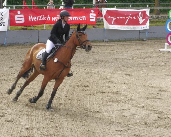 Reitturnier Billigheim 2023