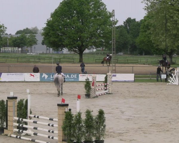 Reitturnier Hamm- Rhynern 2023