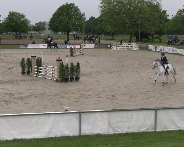 Reitturnier Hamm- Rhynern 2023