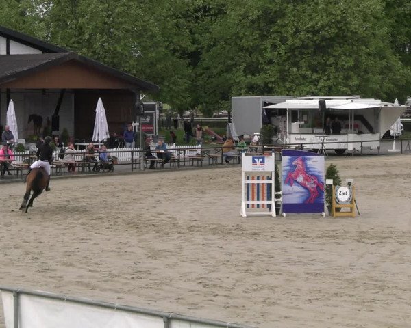 Reitturnier Hamm- Rhynern 2023