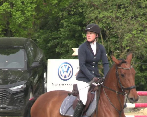 Reitturnier Hellefeld 2023