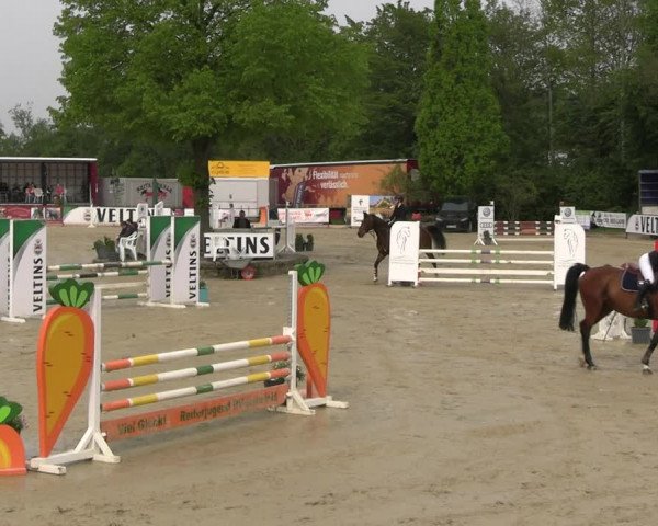Reitturnier Hellefeld 2023