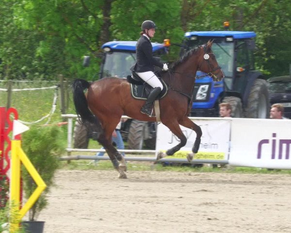 Reitturnier Billigheim 2023