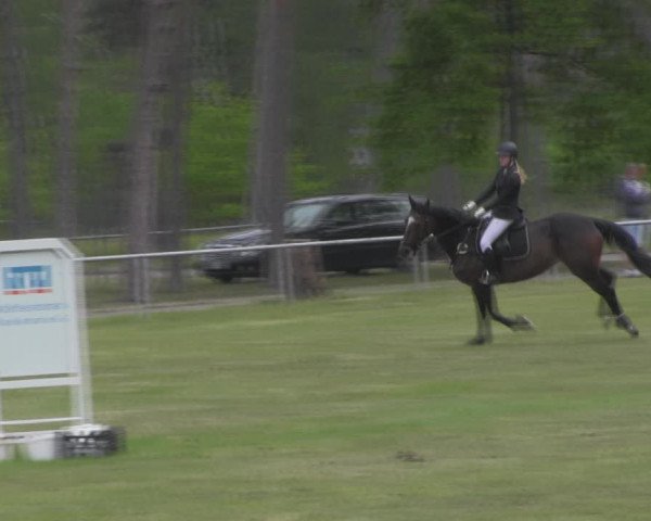 Reitturnier Kakerbeck 2023