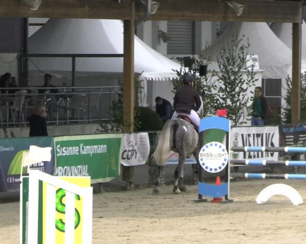 Reitturnier Hellefeld 2023