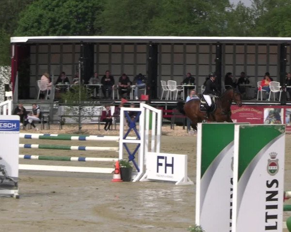Reitturnier Hellefeld 2023