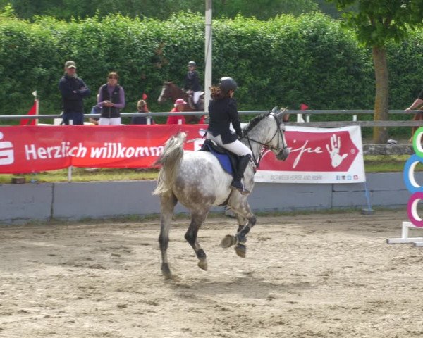 Reitturnier Billigheim 2023