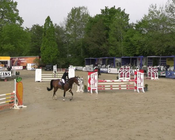 Reitturnier Hellefeld 2023