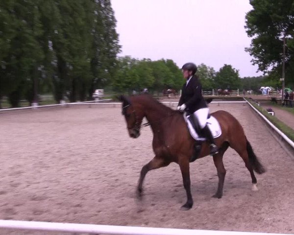 Reitturnier Hamm- Rhynern 2023