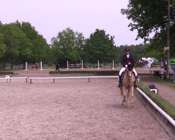 Reitturnier Hamm- Rhynern 2023