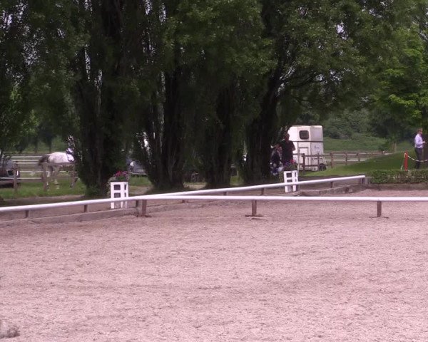 Reitturnier Hamm- Rhynern 2023