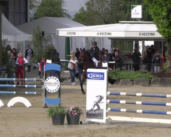 Reitturnier Hellefeld 2023