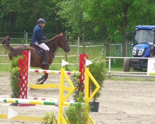 Reitturnier Billigheim 2023