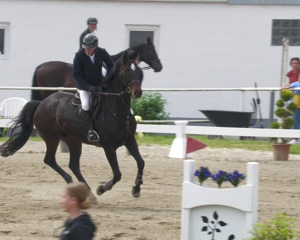 Reitturnier Billigheim 2023