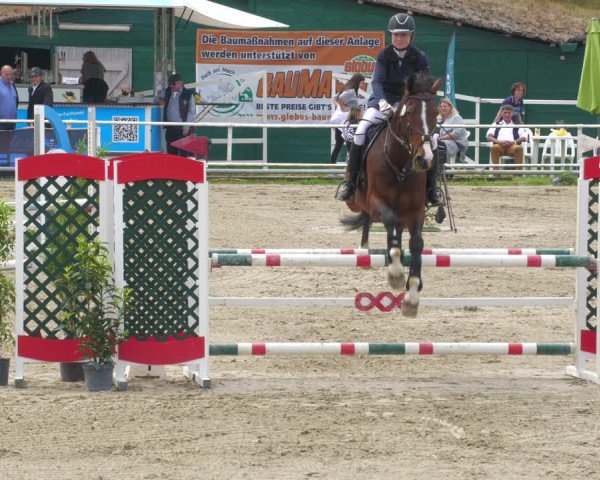 Reitturnier Billigheim 2023
