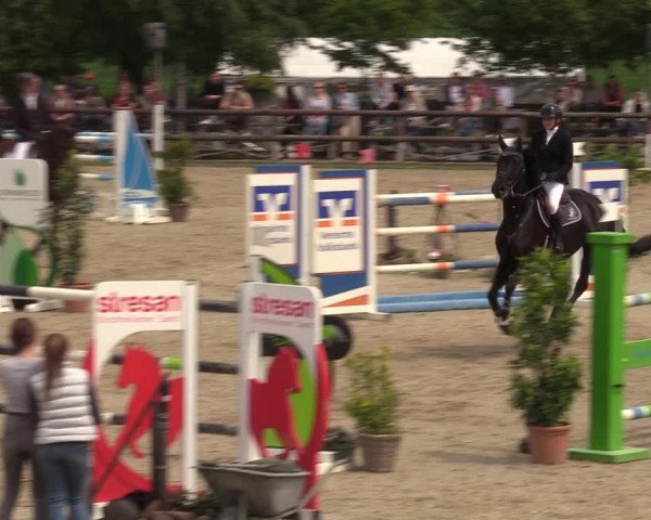 Reitturnier Kirchhellen 2023