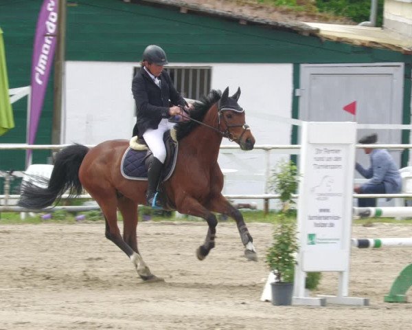 Reitturnier Billigheim 2023
