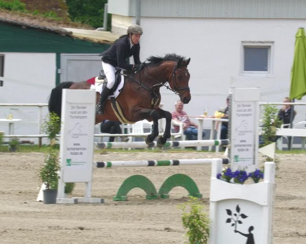 Reitturnier Billigheim 2023