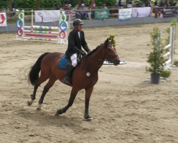 Reitturnier Billigheim 2023