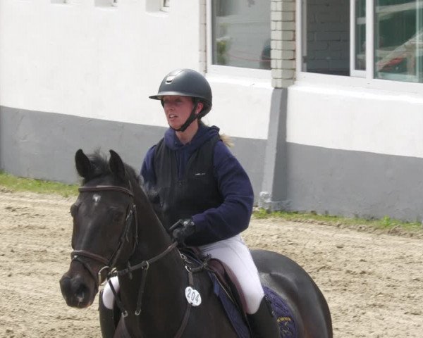 Reitturnier Billigheim 2023