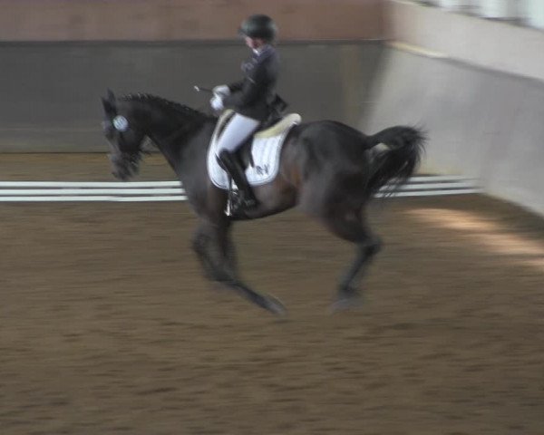 Reitturnier Kakerbeck 2023