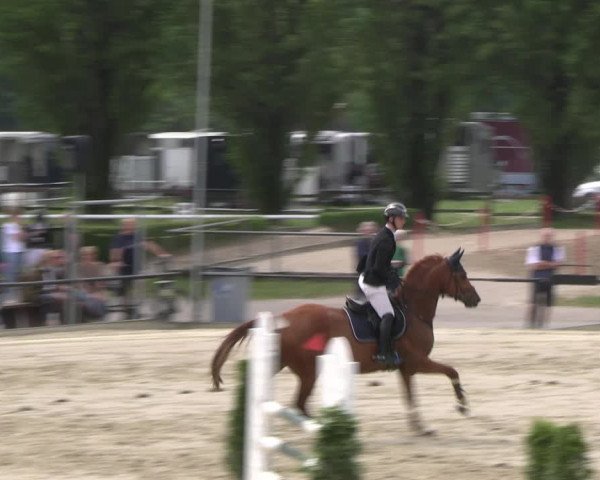Reitturnier Hamm- Rhynern 2023
