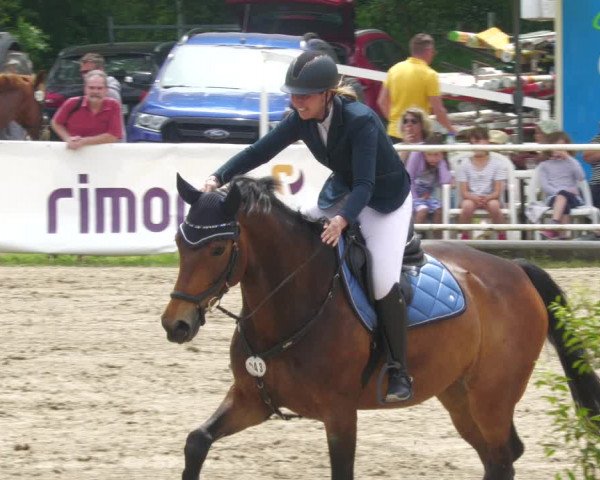 Reitturnier Billigheim 2023