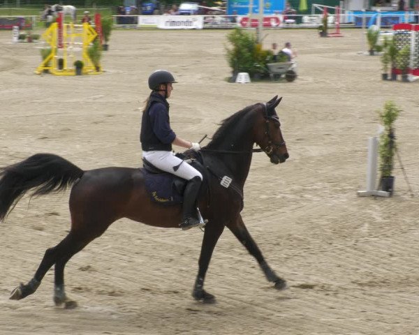 Reitturnier Billigheim 2023