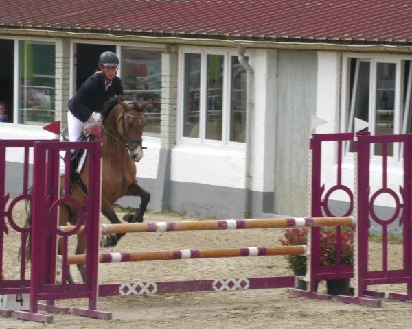 Reitturnier Billigheim 2023
