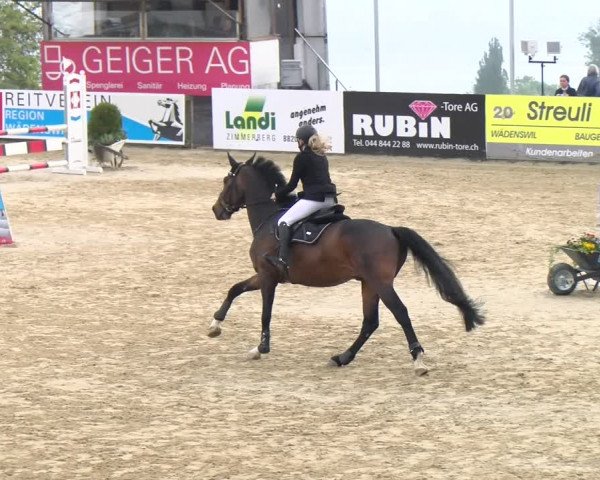 Reitturnier Wädenswil 2023