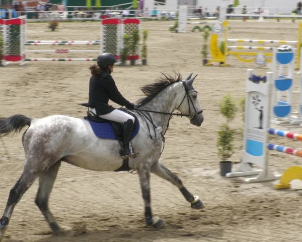 Reitturnier Billigheim 2023